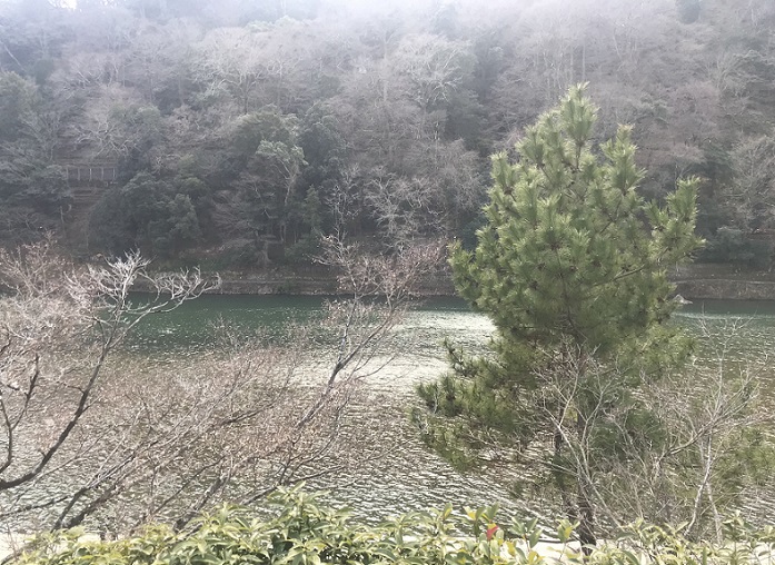 翠嵐ラグジュアリーコレクションホテル京都の庭